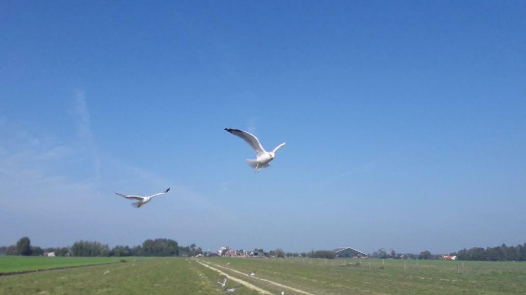 Bedstay41 Oudewater Bagian luar foto